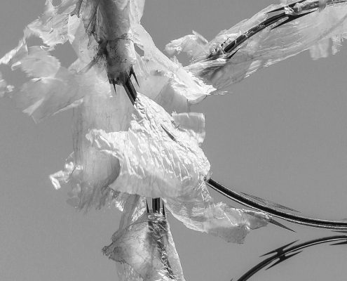 Tangeled Abstraction Tangled Abstraction