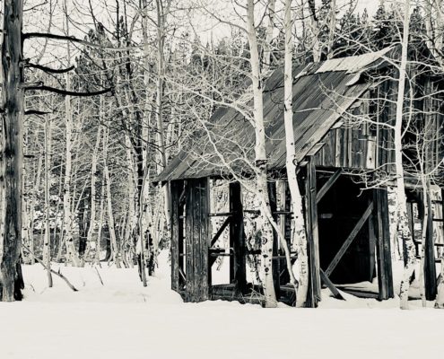 Wood Cabin Ruin 2-22-24